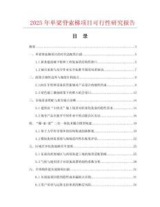 2025年單梁脊索梯項(xiàng)目可行性研究報(bào)告
