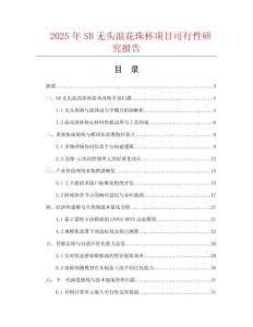 2025年SB無頭浪花珠杯項目可行性研究報告