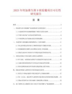 2025年鈣加維生維D軟膠囊項目可行性研究報告