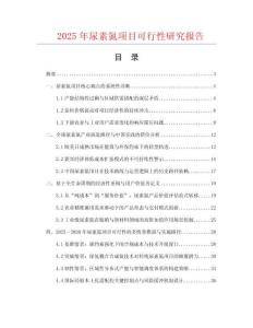 2025年尿素氮項(xiàng)目可行性研究報(bào)告