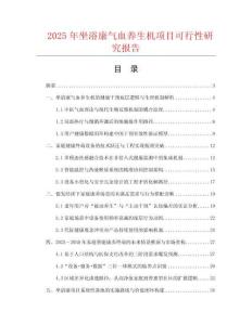 2025年坐浴康氣血養(yǎng)生機項目可行性研究報告