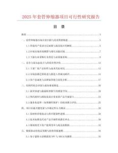 2025年套管伸縮器項目可行性研究報告