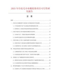 2025年印花毛巾布橡膠墊項(xiàng)目可行性研究報(bào)告