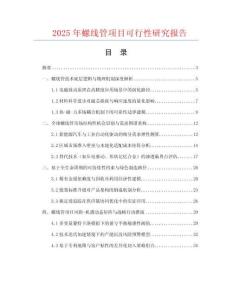 2025年螺线管项目可行性研究报告