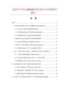 2025年P(guān)VC耐酸堿手套項目可行性研究報告