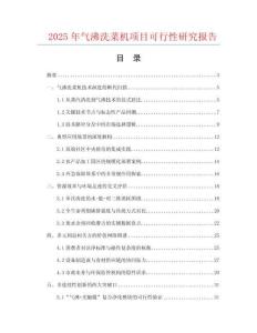2025年氣沸洗菜機(jī)項(xiàng)目可行性研究報(bào)告