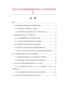 2025年異型袋制袋機項目可行性研究報告