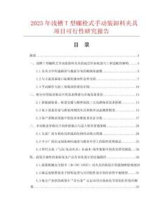 2025年淺槽T型螺栓式手動(dòng)裝卸料夾具項(xiàng)目可行性研究報(bào)告