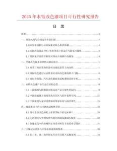2025年水鉆改色漆項(xiàng)目可行性研究報(bào)告