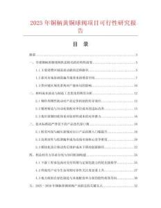 2025年銅柄黃銅球閥項(xiàng)目可行性研究報(bào)告