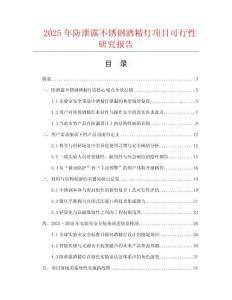 2025年防泄露不銹鋼酒精燈項目可行性研究報告