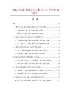 2025年淺啡網(wǎng)大理石板項(xiàng)目可行性研究報(bào)告