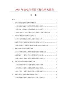 2025年放電燈項(xiàng)目可行性研究報(bào)告