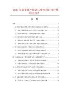 2025年豪華脈沖旋渦式噴咀項目可行性研究報告