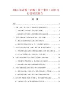 2025年鹽酸（硝酸）維生素Ｂ１項(xiàng)目可行性研究報(bào)告