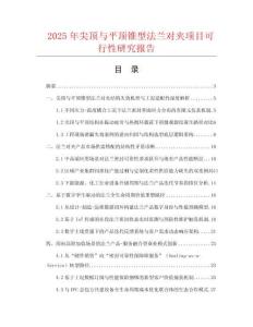 2025年尖頂與平頂錐型法蘭對夾項目可行性研究報告