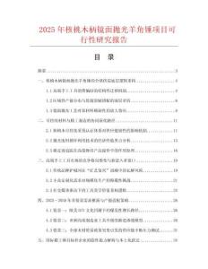 2025年核桃木柄鏡面拋光羊角錘項(xiàng)目可行性研究報(bào)告