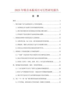 2025年吸音木板項目可行性研究報告