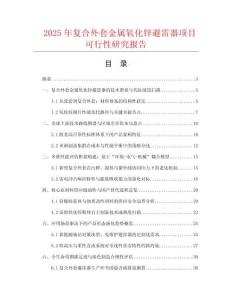 2025年復合外套金屬氧化鋅避雷器項目可行性研究報告