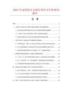 2025年雙管防塵支架燈項(xiàng)目可行性研究報(bào)告