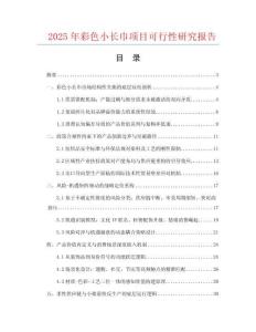 2025年彩色小長(zhǎng)巾項(xiàng)目可行性研究報(bào)告
