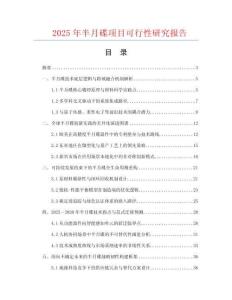 2025年半月碟項(xiàng)目可行性研究報告