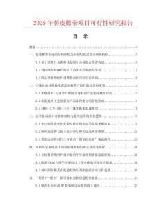 2025年仿皮腰帶項(xiàng)目可行性研究報(bào)告