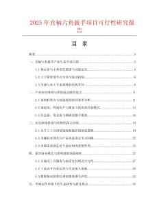 2025年直柄六角扳手項目可行性研究報告