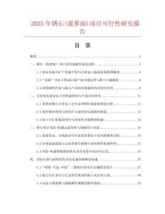 2025年銹石(菠蘿面)項目可行性研究報告