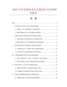 2025年長毛絨拉舍爾毛毯項目可行性研究報告