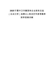 2025寧夏中衛(wèi)市屬國有企業(yè)財務總監(jiān)（總會計師）選聘2人筆試歷年參考題庫附帶答案詳解