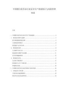 中國漂白化學品行業(yè)安全生產事故統(tǒng)計與風險管理體系