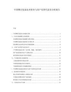 中國攀巖裝備技術壁壘與國產化替代前景分析報告
