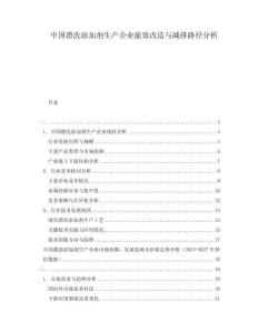 中國漂洗添加劑生產企業能效改造與減排路徑分析