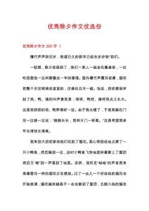 優(yōu)秀除夕作文優(yōu)選份