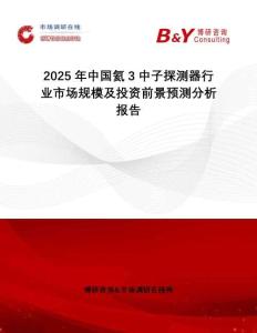 2025年中國氦3中子探測器行業市場規模及投資前景預測分析報告