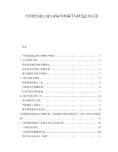 中國(guó)漂洗添加劑行業(yè)碳中和路徑與綠色技術(shù)應(yīng)用