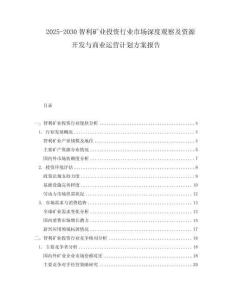 2025-2030智利礦業(yè)投資行業(yè)市場(chǎng)深度觀察及資源開(kāi)發(fā)與商業(yè)運(yùn)營(yíng)計(jì)劃方案報(bào)告