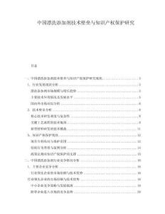 中國漂洗添加劑技術壁壘與知識產權保護研究