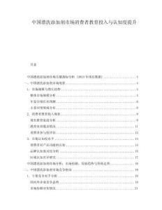 中國漂洗添加劑市場消費者教育投入與認知度提升