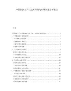 中國(guó)膨潤(rùn)土產(chǎn)業(yè)技術(shù)升級(jí)與市場(chǎng)機(jī)遇分析報(bào)告