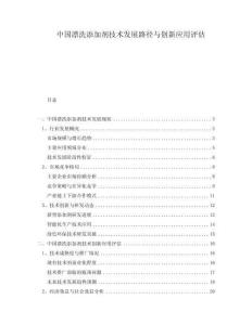 中國漂洗添加劑技術發展路徑與創新應用評估