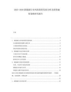 2025-2030新能源行業(yè)風(fēng)險(xiǎn)投資發(fā)展分析及投資融資策略研究報(bào)告