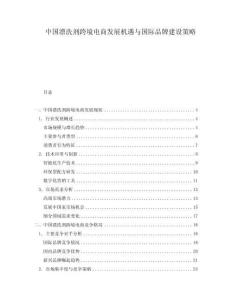 中國(guó)漂洗劑跨境電商發(fā)展機(jī)遇與國(guó)際品牌建設(shè)策略