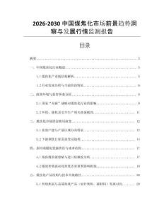 2026-2030中國(guó)煤焦化市場(chǎng)前景趨勢(shì)洞察與發(fā)展行情監(jiān)測(cè)報(bào)告