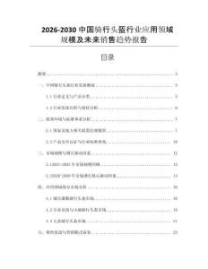2026-2030中國騎行頭盔行業(yè)應用領域規(guī)模及未來銷售趨勢報告