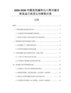 2026-2030中國泡花堿市場應用領域分析及運營狀況監測研究報告