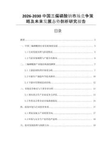 2026-2030中國三偏磷酸鈉市場競爭策略及未來發展態勢剖析研究報告