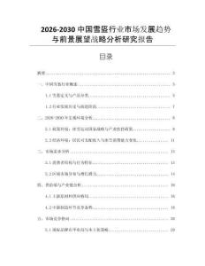 2026-2030中國(guó)雪盔行業(yè)市場(chǎng)發(fā)展趨勢(shì)與前景展望戰(zhàn)略分析研究報(bào)告