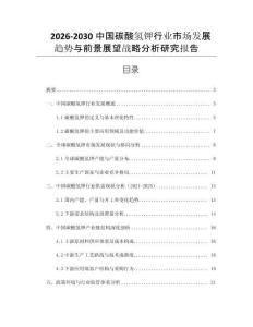 2026-2030中國碳酸氫鉀行業市場發展趨勢與前景展望戰略分析研究報告